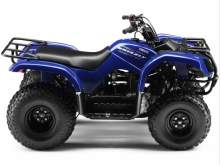 Фото Yamaha Grizzly 125  №1