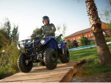 Фото Yamaha Grizzly 125  №6